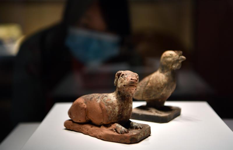 这是12月22日在海南省博物馆“海南稽古 南海钩沉——海南考古七十年”展上拍摄的明代陶狗。