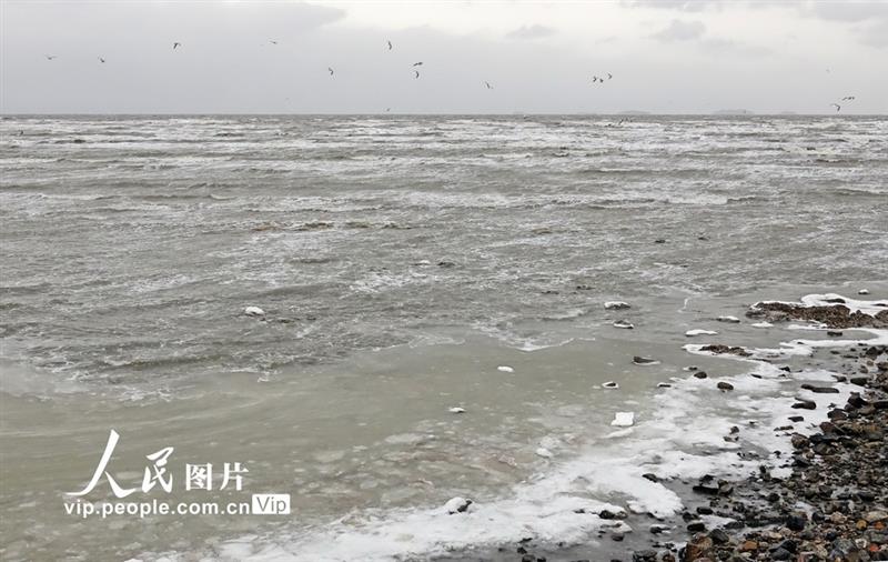 12月29日，辽宁省大连夏家河海滨浴场近海区出现结冰。