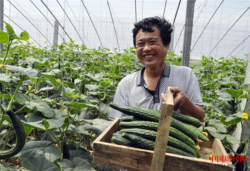 沃野孕育绿色希望.jpg