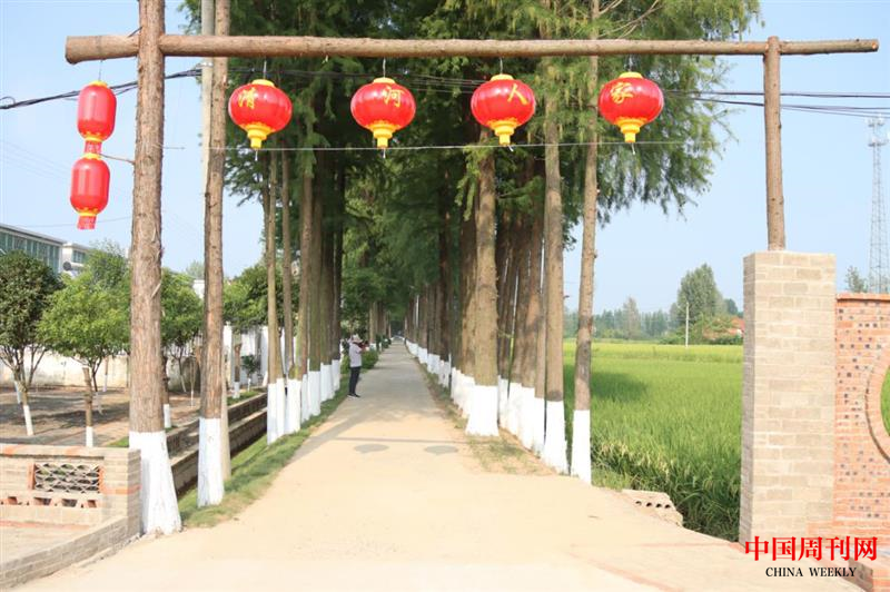 图片20.png
