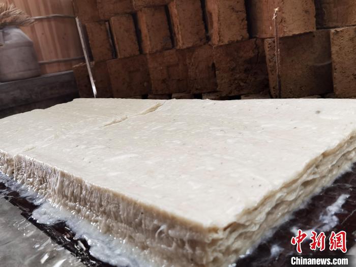 图为色如白雪的构皮纸。　周燕玲　摄