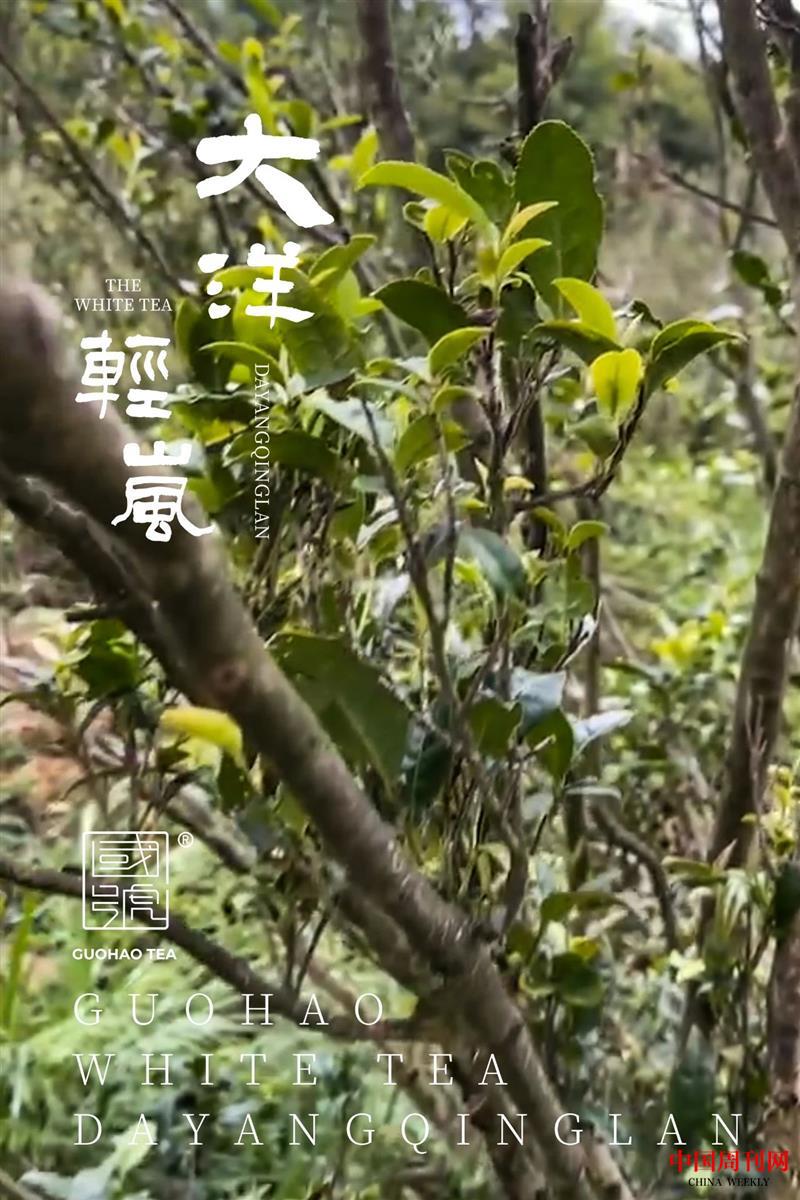 微信图片_20210819160327.jpg