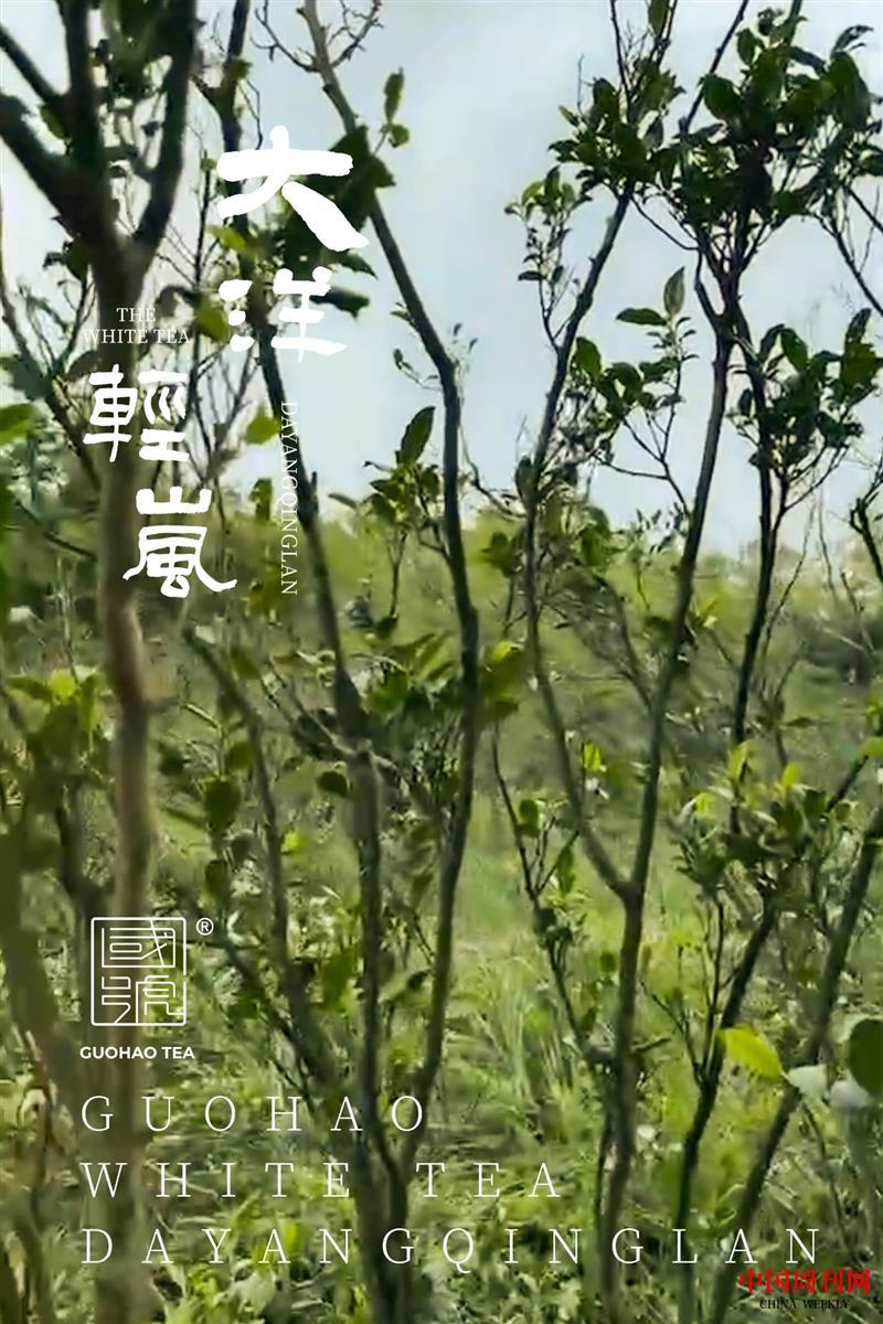 微信图片_20210819160333.jpg