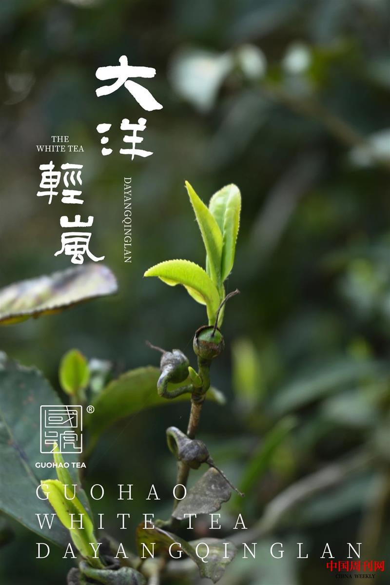微信图片_20210819160339.jpg