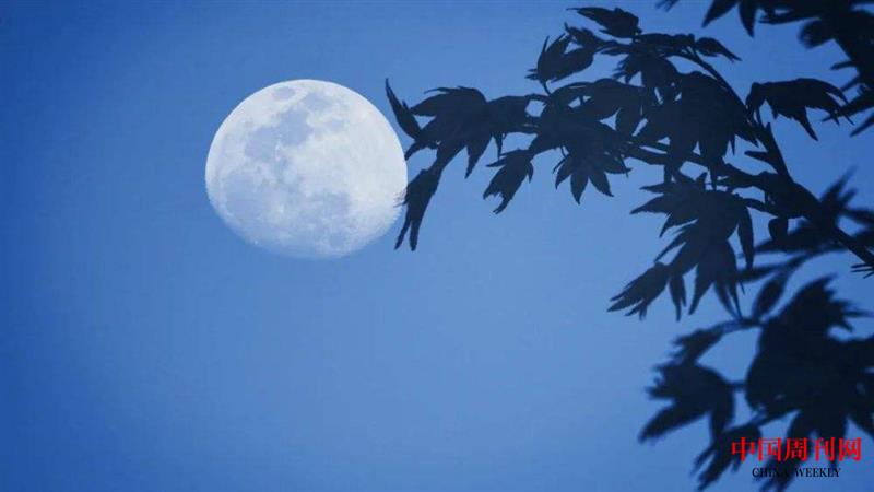 src=http _inews.gtimg.com_newsapp_bt_0_12545440871_1000.jpg&refer=http _inews.gtimg.com&app=2002&size=f9999,10000&q=a80&n=0&g=0n&fmt=jpeg.jpg