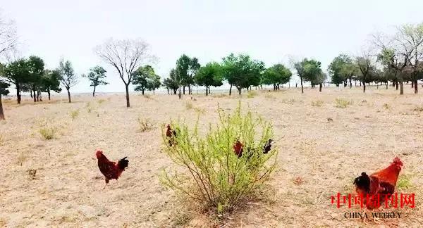 u=3962371021,3639678686&fm=253&fmt=auto&app=138&f=JPG.webp.jpg u=3962371021,3639678686&fm=253&fmt=auto&app=138&f=JPG.webp.jpg