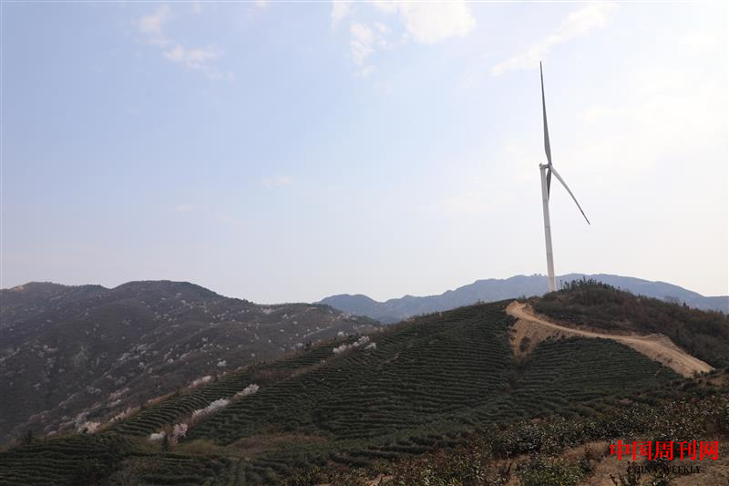 图片1.png 图片1.png