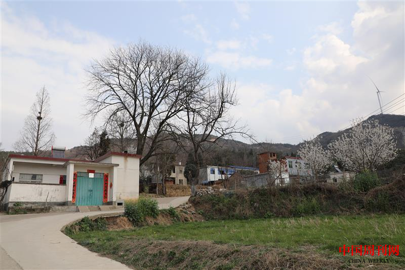 图片2.png 图片2.png