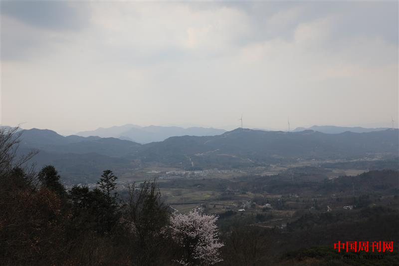 图片5.png 图片5.png