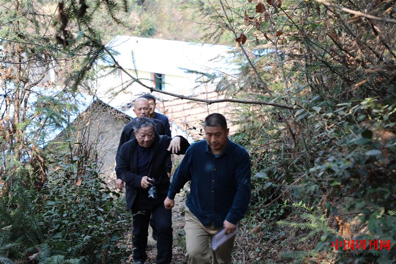 图片6.png 图片6.png