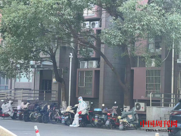 图片5.png 图片5.png