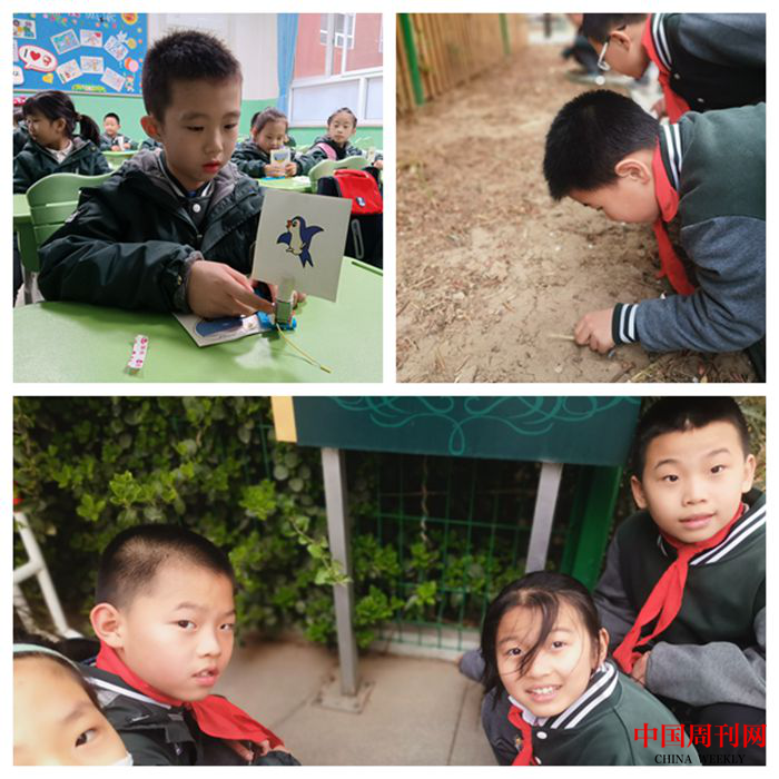 图片9.png 图片9.png