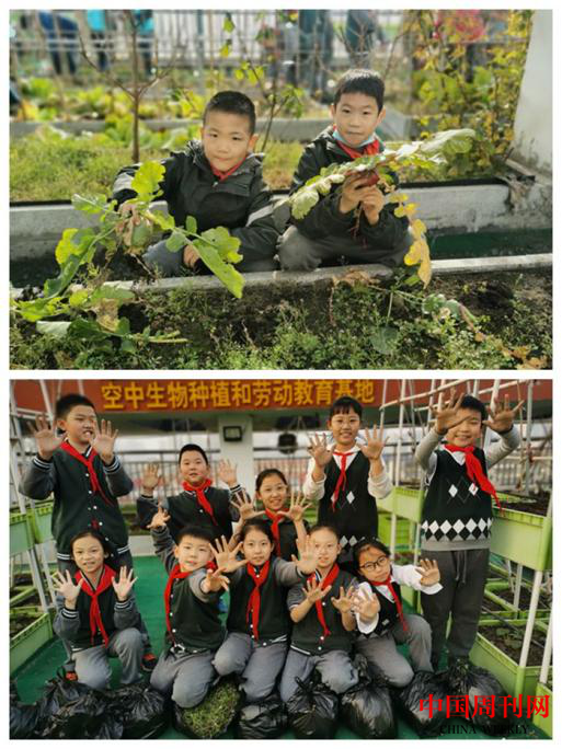 图片14.png 图片14.png