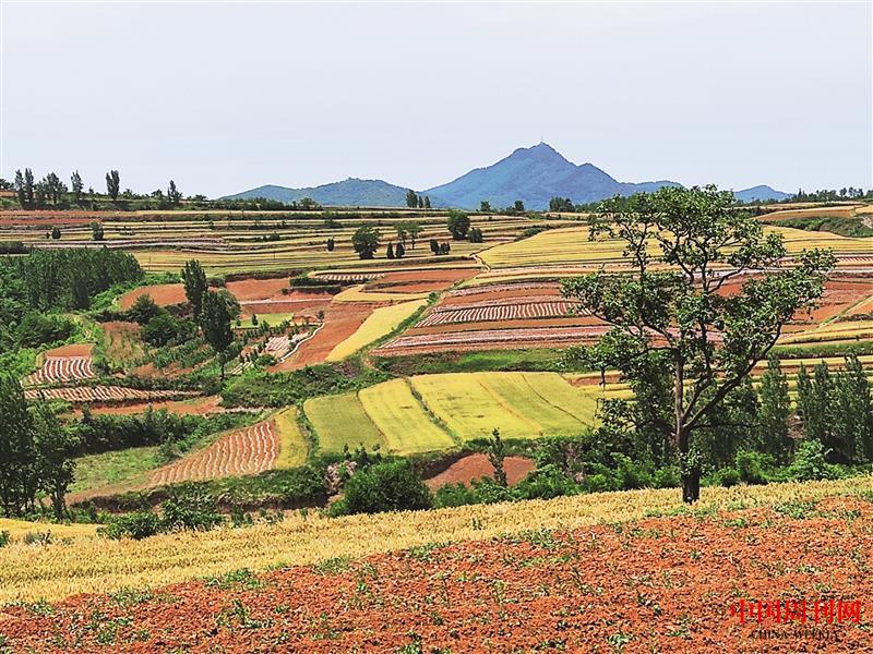 2-美丽田园.jpg