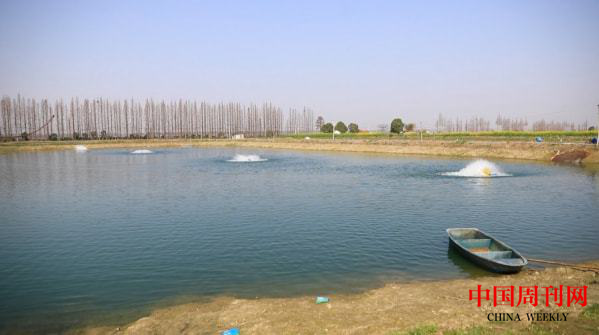 图片1.png 图片1.png