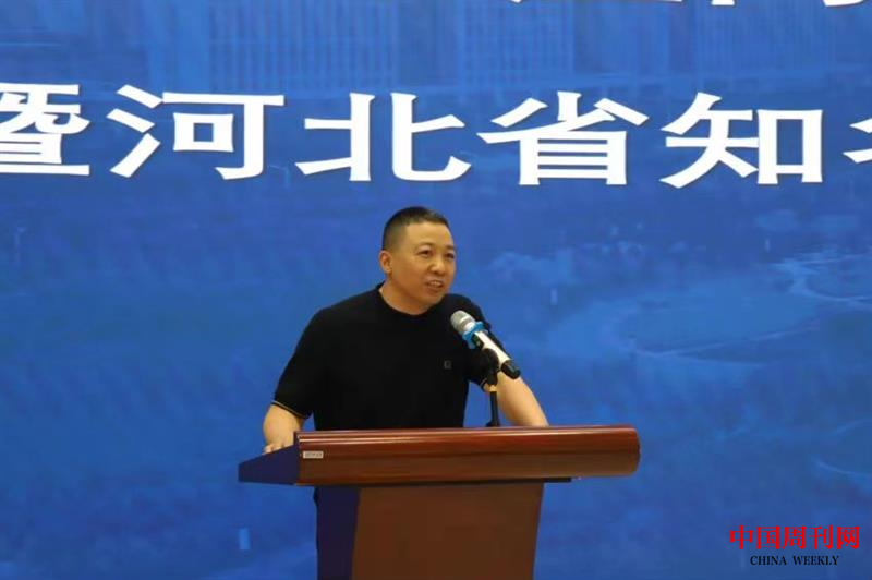 图片12.png