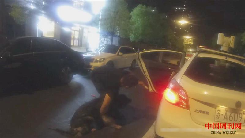 【1】警民联手将狗带上警车.jpg