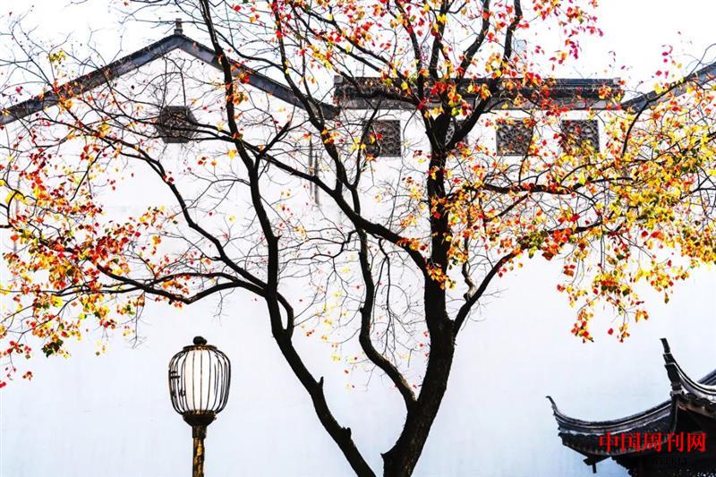 微信图片_20220708141536.jpg 微信图片_20220708141536.jpg