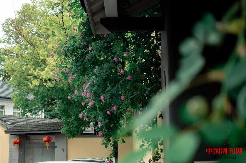 微信图片_20220708141547.jpg 微信图片_20220708141547.jpg