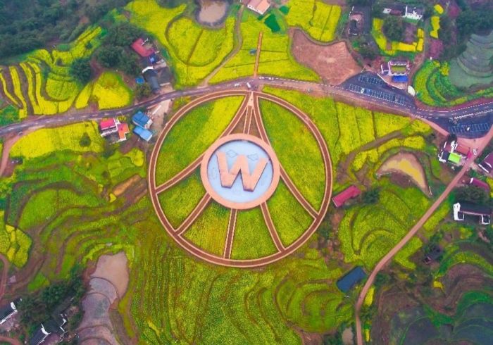 图片4