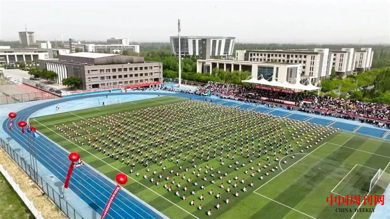 图片13.png