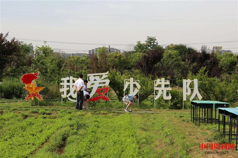 图片21.png