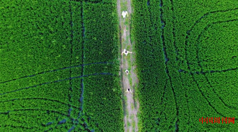 微信截图_20230811135443.png 微信截图_20230811135443.png