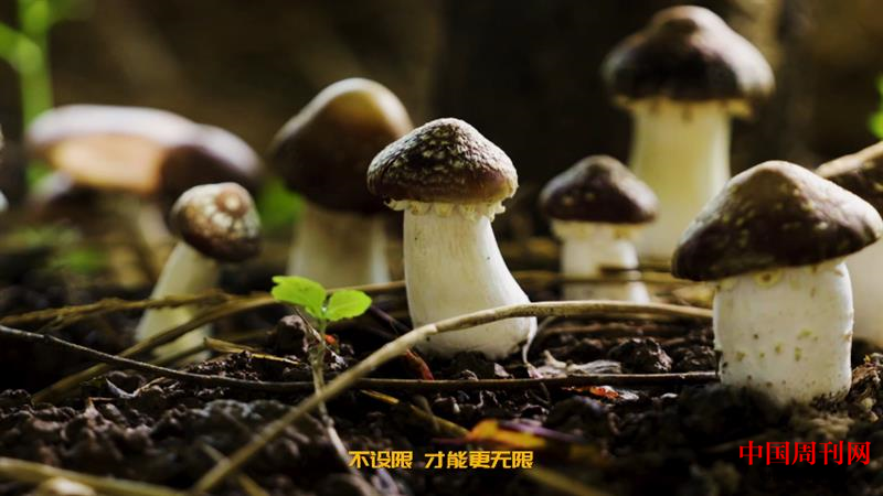 微信截图_20230811135540.png 微信截图_20230811135540.png