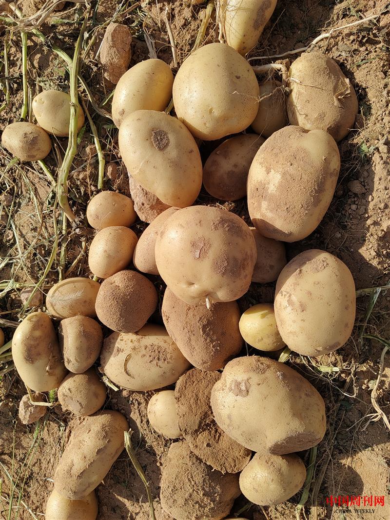 IMG_20230824_161203.jpg IMG_20230824_161203.jpg