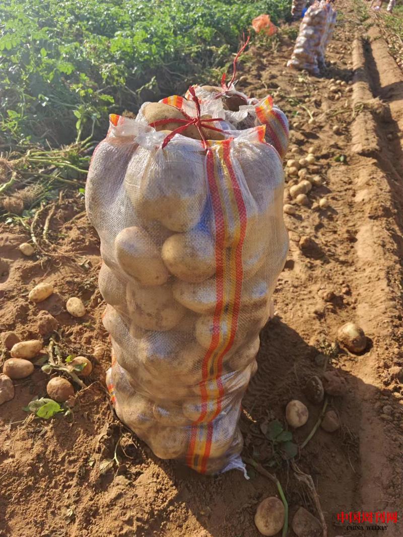 微信图片_20230831095455.jpg 微信图片_20230831095455.jpg