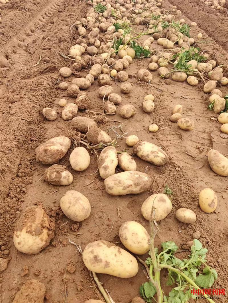 微信图片_20230831095516.jpg 微信图片_20230831095516.jpg