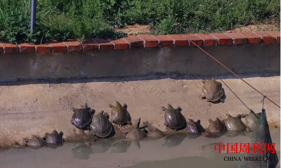 微信截图_20240129094203.png 微信截图_20240129094203.png