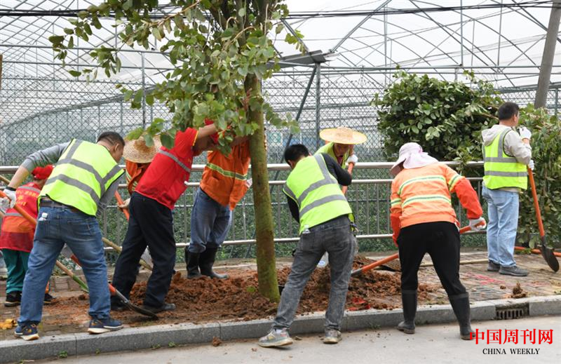 图片5.png 图片5.png