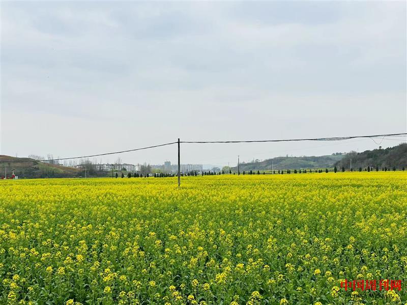 922e4109569669f24840b4c152c1f1d.jpg 922e4109569669f24840b4c152c1f1d.jpg