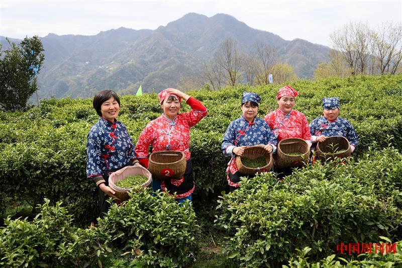 微信图片_20240328155510.jpg 微信图片_20240328155510.jpg