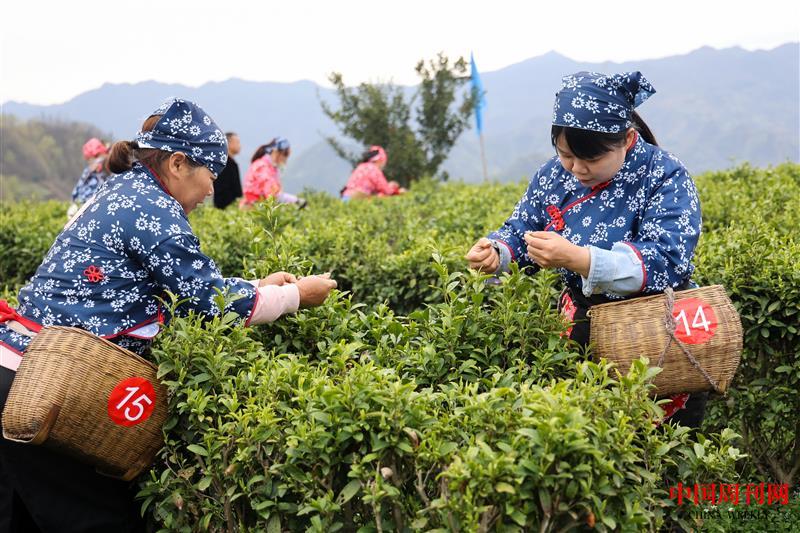 微信图片_20240328155531.jpg 微信图片_20240328155531.jpg