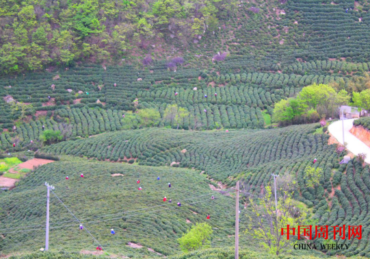 微信截图_20240412093927.png 微信截图_20240412093927.png