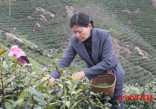 微信截图_20240412093955.png 微信截图_20240412093955.png