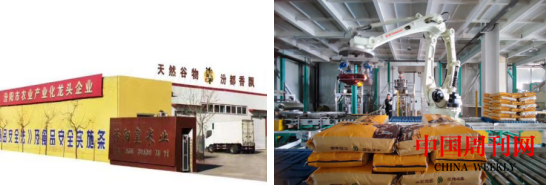 图片9.png 图片9.png