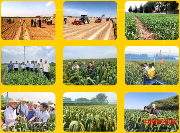 图片15.png 图片15.png