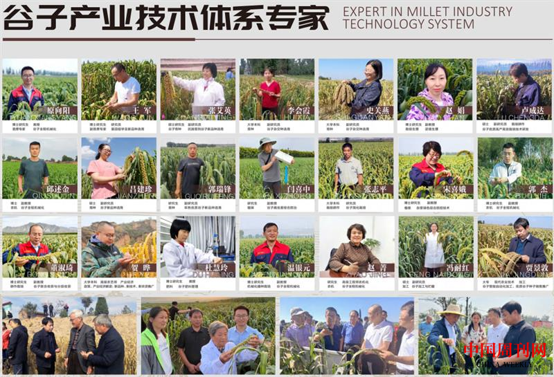 图片17.png 图片17.png