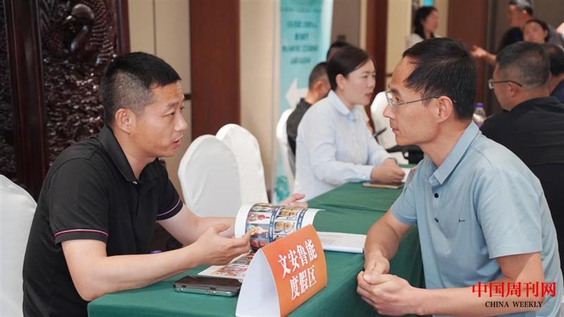 1717233910571.jpg 1717233910571.jpg