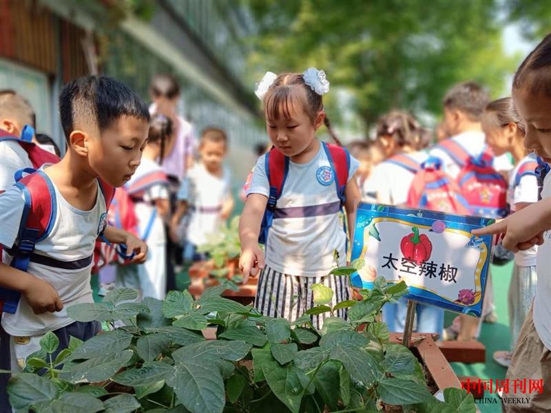 1718839838675.jpg 1718839838675.jpg