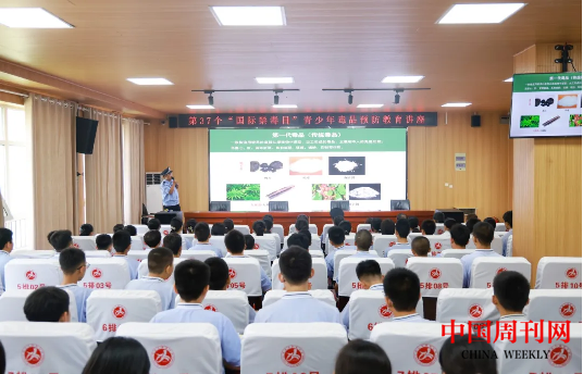 图片1.png 图片1.png