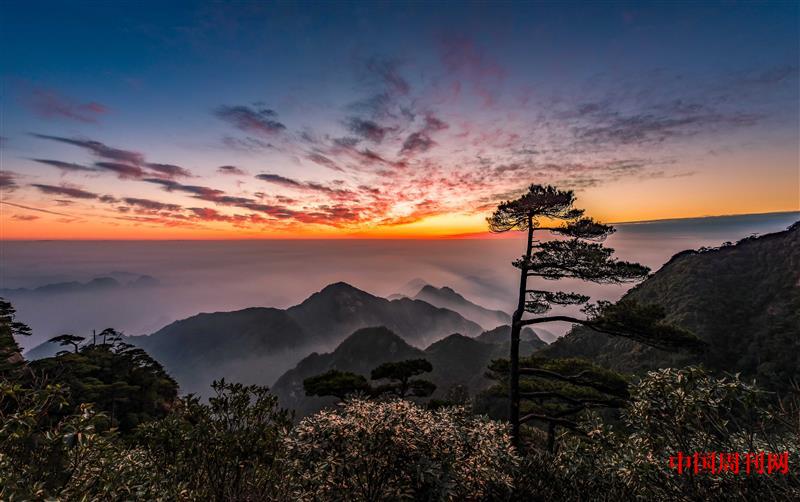 摄图网_500596949_三清山日出云海自然美景(企业商用).jpg