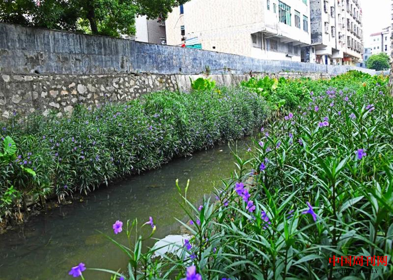 图片 6.png 图片 6.png