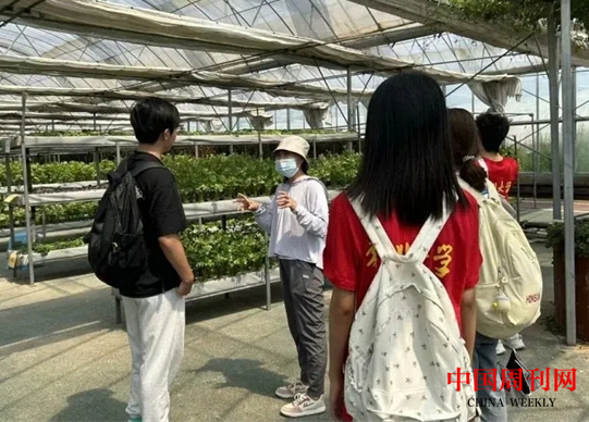 微信截图_20240830141956.png 微信截图_20240830141956.png