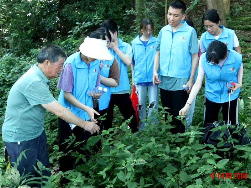 17图为药农向实践团成员介绍中草药的功效以及用法，加深对中草药知识的了解。.png