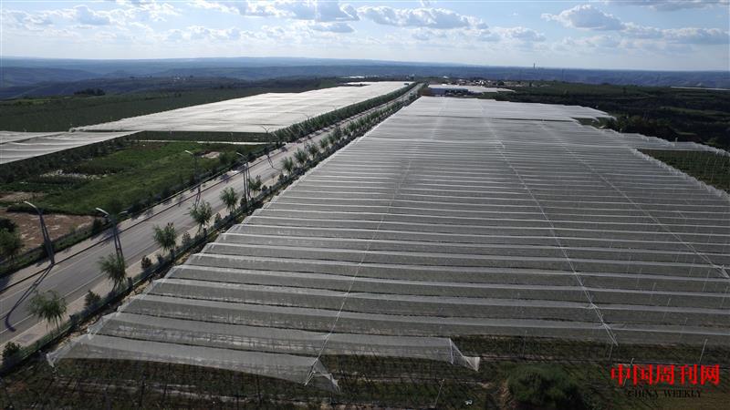 微信图片_20230725105646.jpg 微信图片_20230725105646.jpg