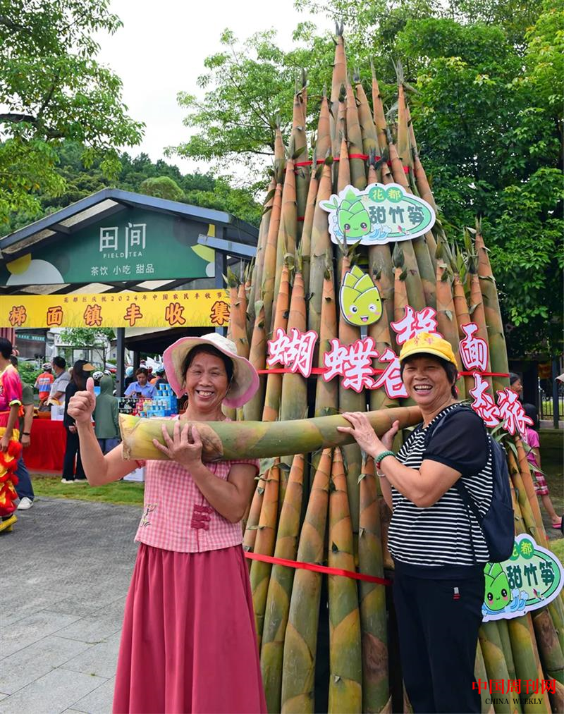 图片8.png 图片8.png